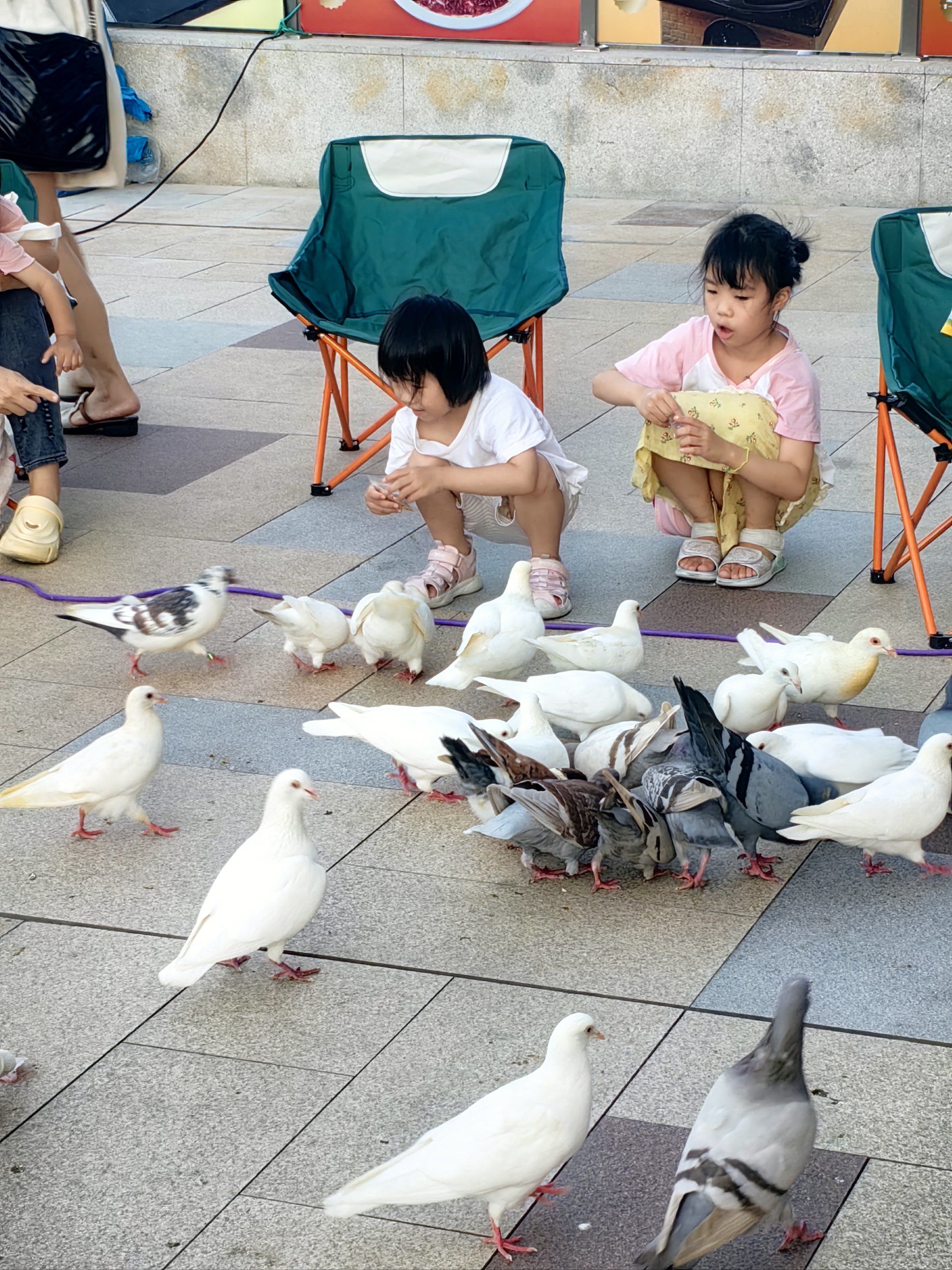 过来悦汇广场喂鸽子啦