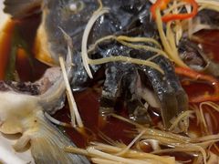 -煲来饱去冷水鱼