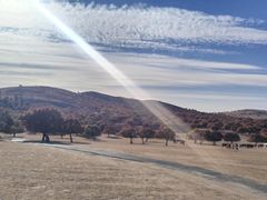 -五角枫生态旅游景区