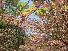 -贵州师范大学(宝山北路校区)