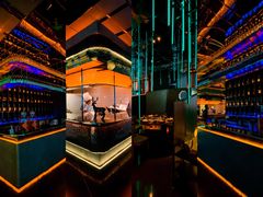 -大隐·成都火锅Bistro(合生麒麟新天地店)