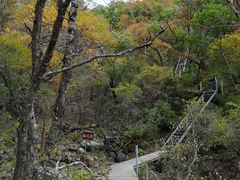 -灵山
