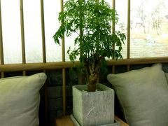 卡座-茶理宜世(东方宝泰店)