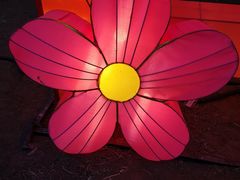 -南宫五洲植物乐园