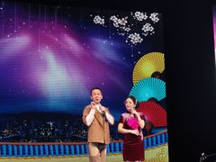 -泰安刘老根大舞台
