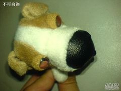 DSC00279-麦当劳(中山公园龙之梦店)