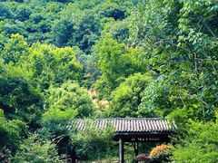 -武汉姚家山旅游景区