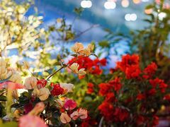 -庄子梦然·城市微度假·24h按摩·推拿·spa