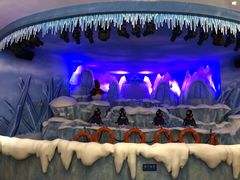 -帝企鹅自助餐厅•儿童岛•真企鹅(长隆企鹅酒店)