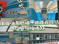 -龙阳路磁悬浮列车总站-停车场