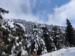 -武陵山森林公园