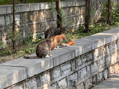 -四门塔风景区