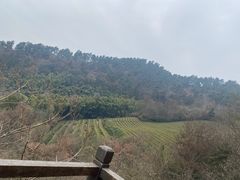 -敬亭山风景名胜区