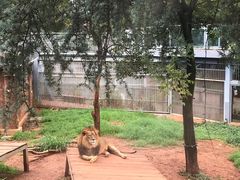 -昆明动物园