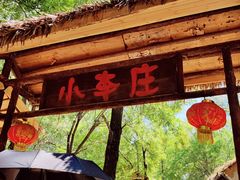 -微山湖红荷湿地景区
