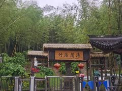 -宁波浙东大竹海景区