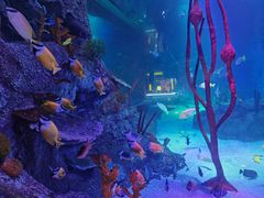 -沈阳海洋探索中心