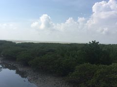 -北海金海湾红树林生态旅游区