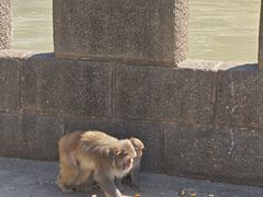 -白帝城·瞿塘峡景区