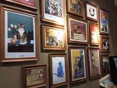 -猫咪博物馆(顶澳仔猫街店)