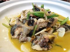 -饭怕鱼(阳光100店)