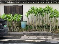 -芦茨金富饭庄·25年老字号·专做稻草鸡