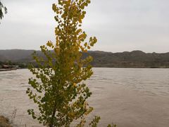 -迎宾楼(解放西街店)