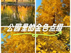 -石家庄市植物园