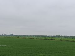 -湖南东洞庭湖国家级自然保护区