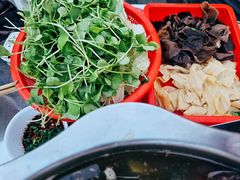 -扎佐老牌蹄膀·猪脚