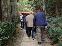 -杭州半山国家森林公园