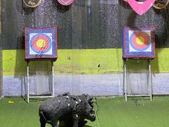 -都市枪神实弹射击俱乐部
