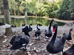 -镇江市南山风景名胜区竹林景区