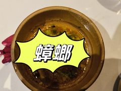 -火舞泰·泰式海鲜火锅餐厅(世纪城店)