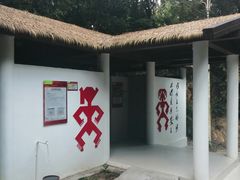-海南霸王岭国家森林公园
