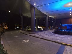 -上海滴水湖皇冠假日酒店