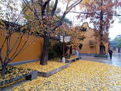 -龙华寺