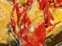 -洪福龙虾