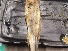-老吕涮羊肉•东北原味烧烤•大油边•烤鱼(五角场店)
