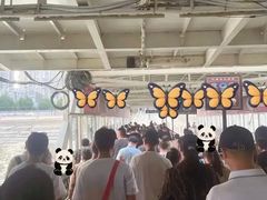 -武昌中华路码头(轮渡站)