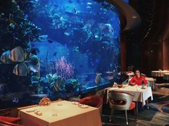 -迪拜帆船酒店海底餐厅