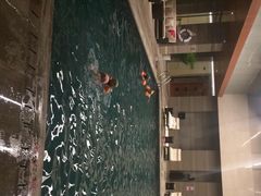 -海豚之星游泳俱乐部(喜来登馆)