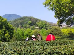 -西湖风景区十里琅珰-五云山