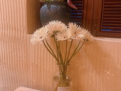-萤火虫咖啡(后海店)