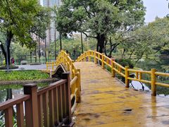 -晓港公园