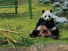 -杭州野生动物世界