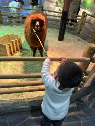 -Zoolung Zoolung动物主题公园(海信广场店)