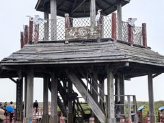 -北海金海湾红树林生态旅游区