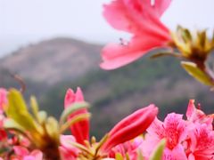 -木兰云雾山