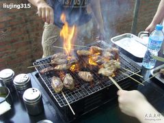 -顺鑫绿色度假村